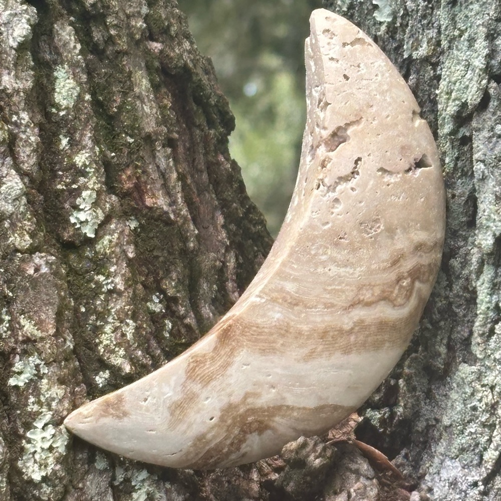 Curved Stone Habitat Accessory